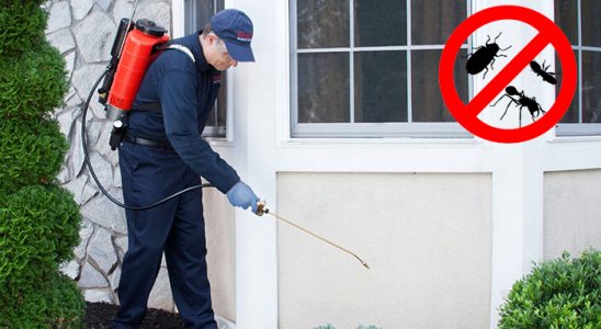 Balışeyh Bit İlaçlama böcek ilaçlama ve haşere kontrolü — ilaclama-tr.com
